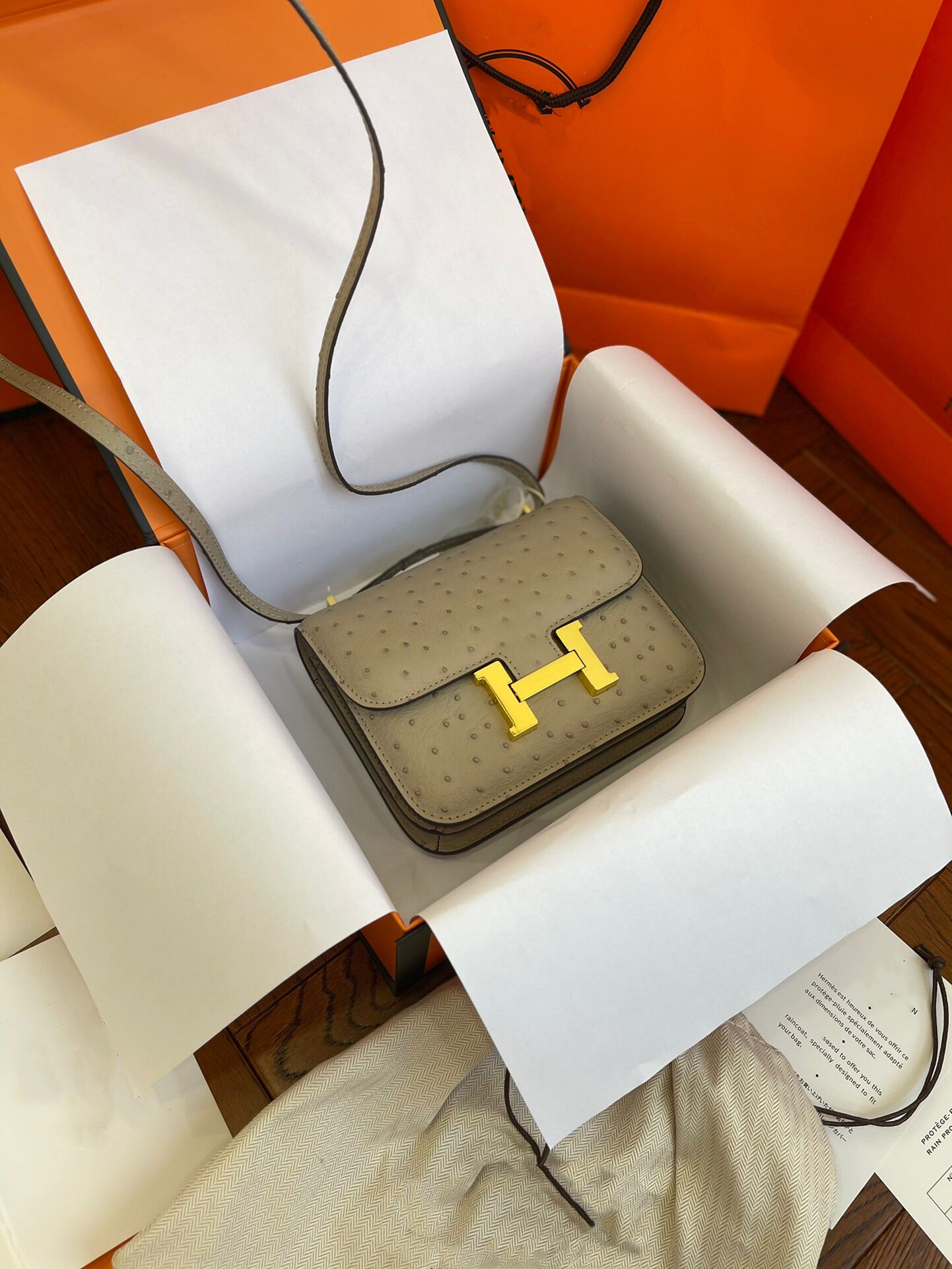 Hermes Handcrafted by masters Constance Mini 19