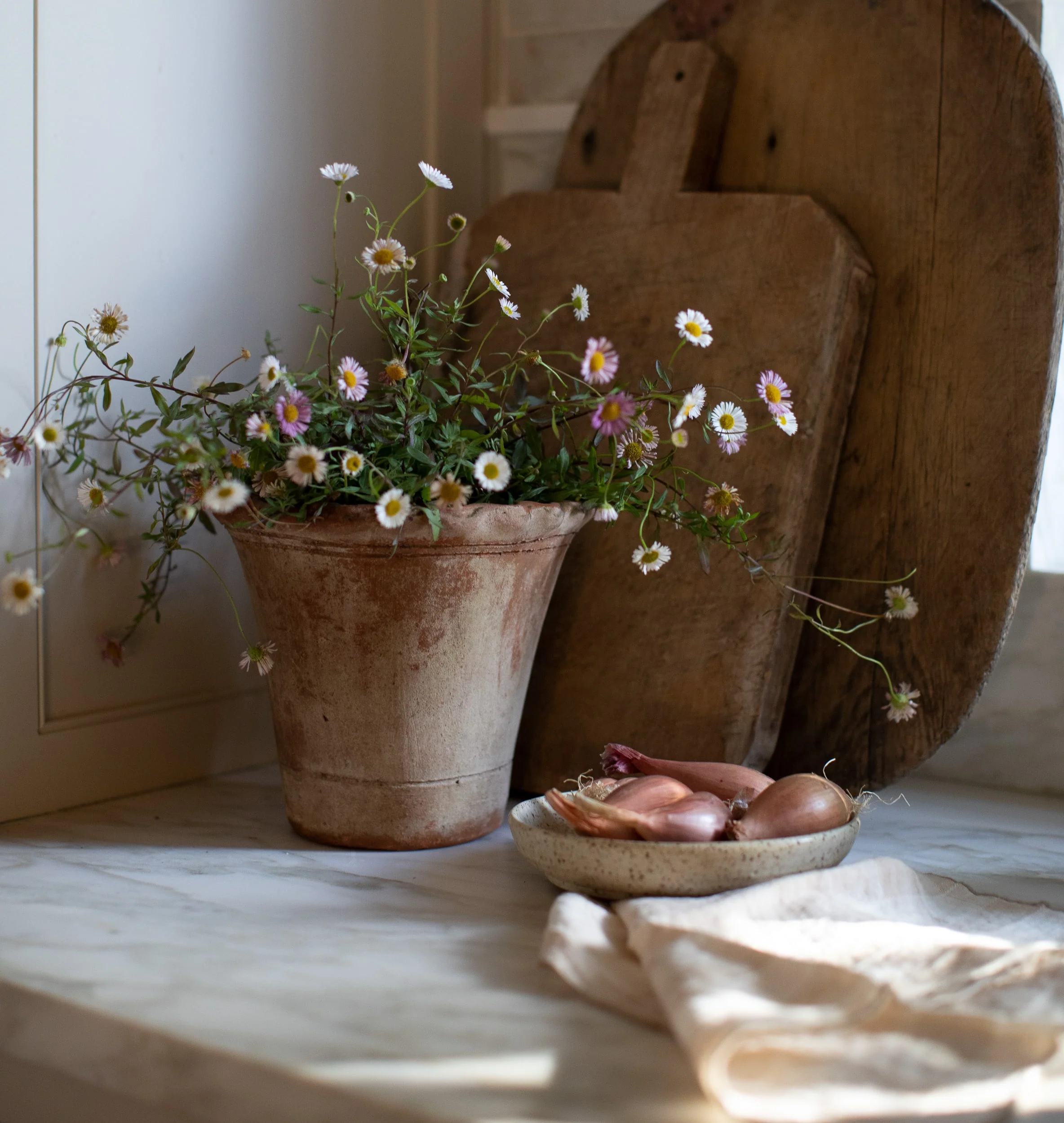 Scalloped Nursery Planter