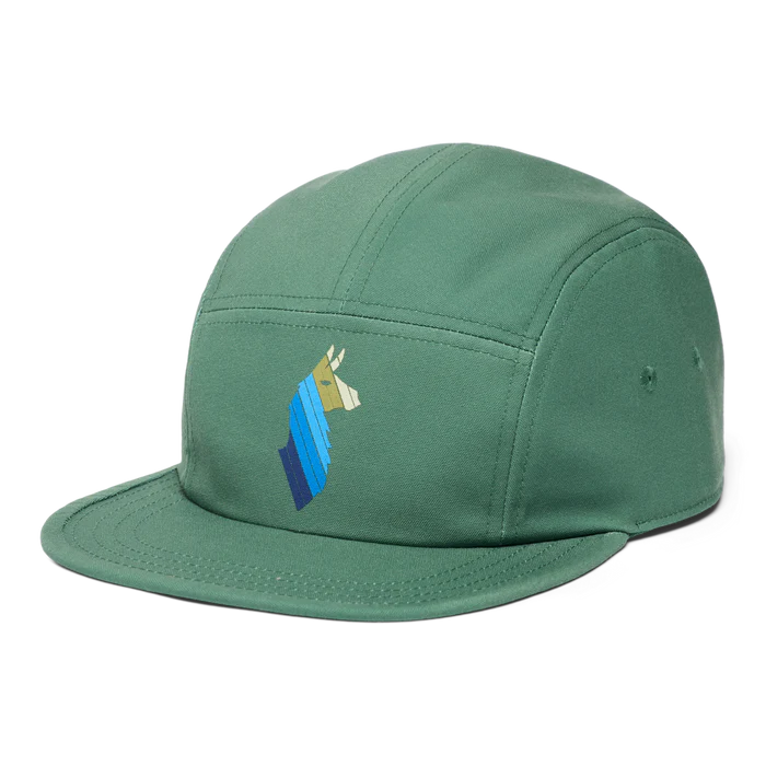 Llama Stripes 5-Panel Hat