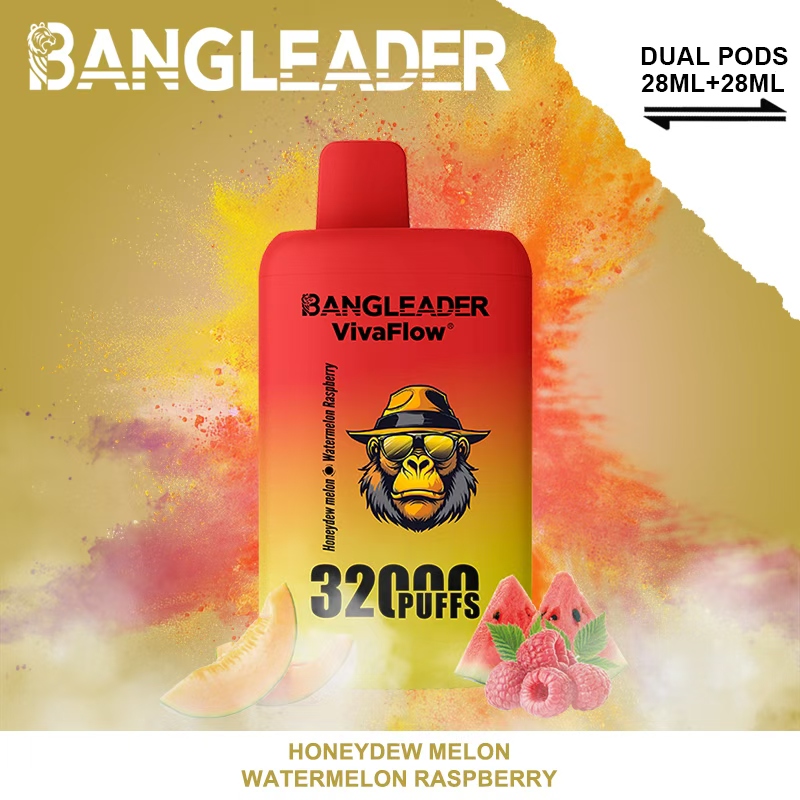 Bang Leader 32K Puffs 2-in-1 Prefilled Vape | Dual Flavor,  Rechargeable