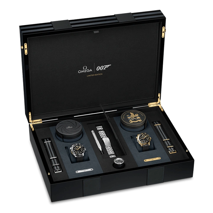 DIVER 300M CO‑AXIAL MASTER CHRONOMETER 42 MM