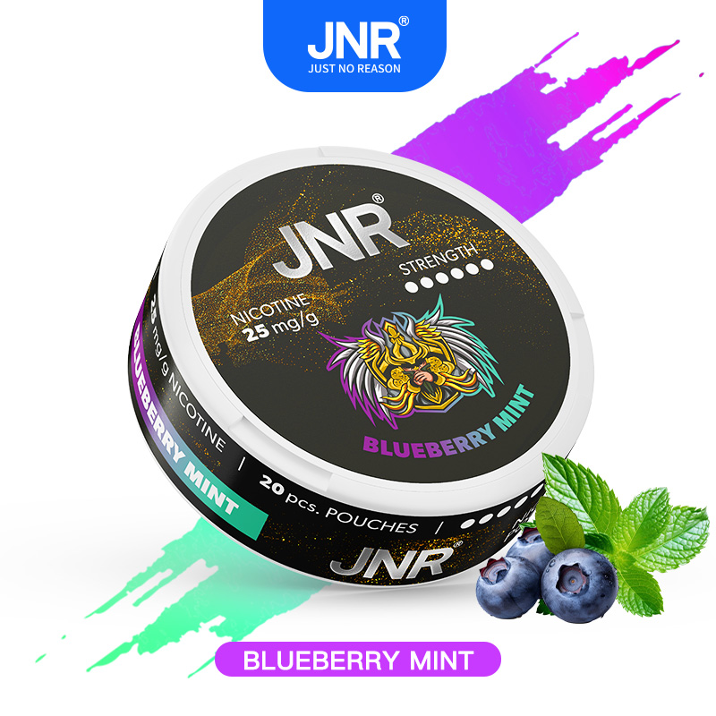 Blueberry Mint -JNR Nicotine Pouches 25mg Nic