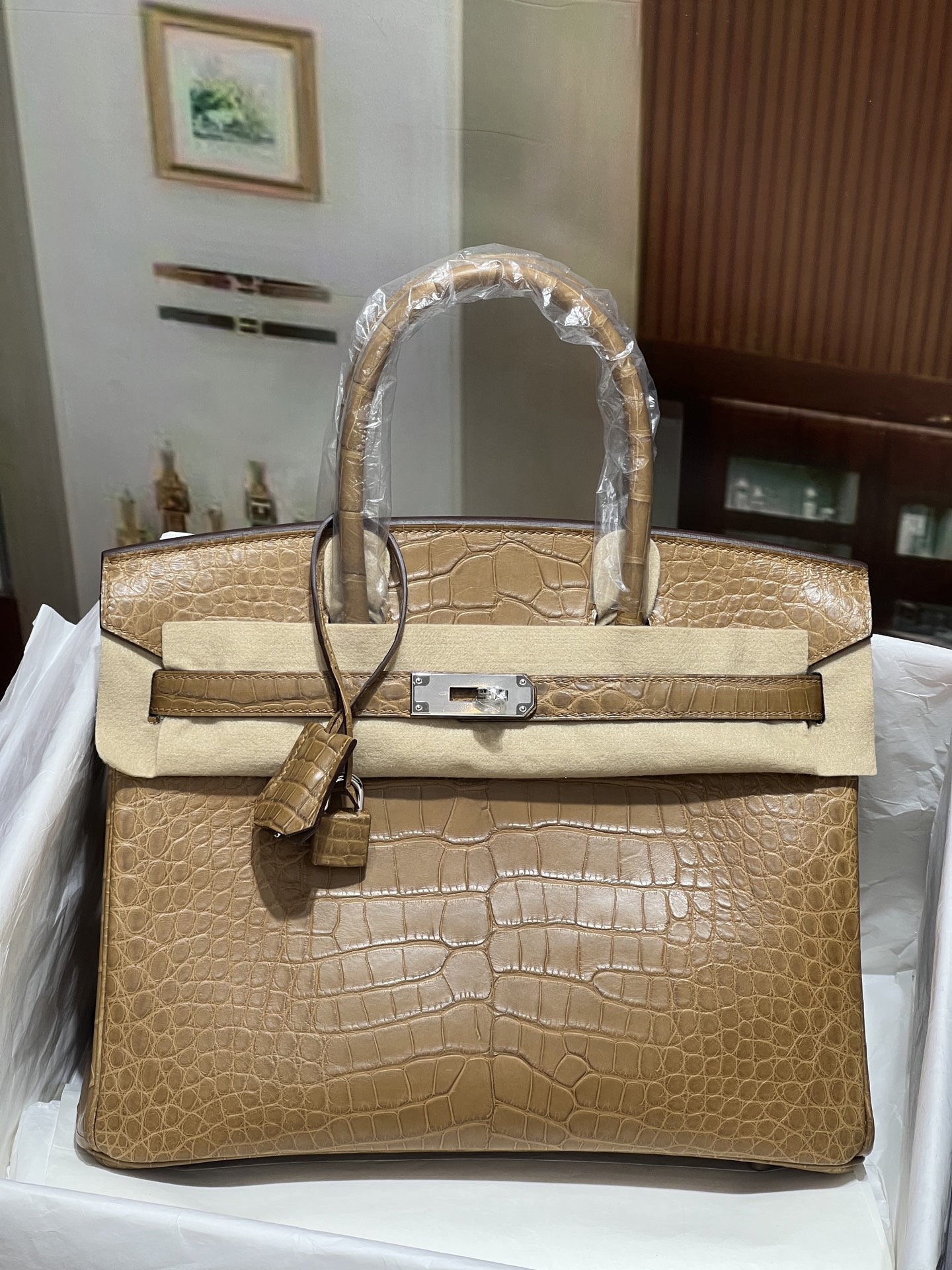 Hermès Birkin 25-30 Milk Tea Matte Crocodile Leather