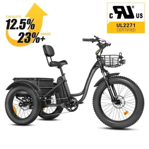 Special offer⚡️[750W] Rear Drive Electric Trike Ver 2026
