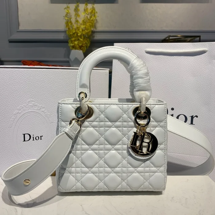 Dior Small Lady Bag 20Cm