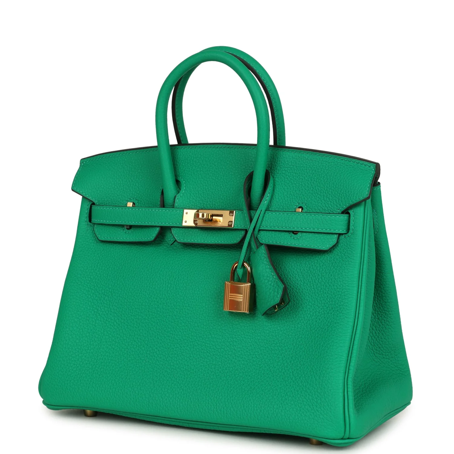 Hermes Birkin 25 Menthe Togo Gold Hardware