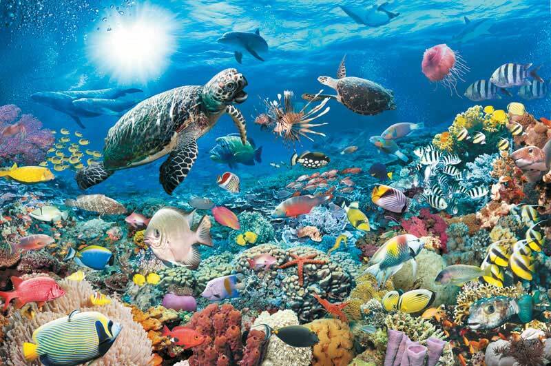 Underwater Tranquility 5000 Piece Puzzle