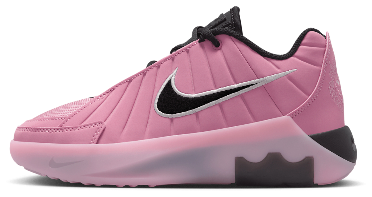 Nike Lebron Witness IX