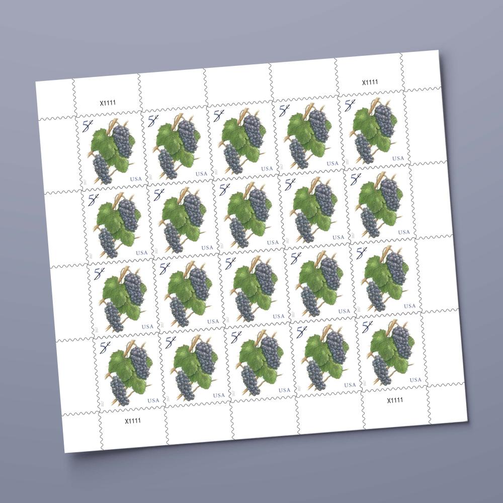 2016 Grapes