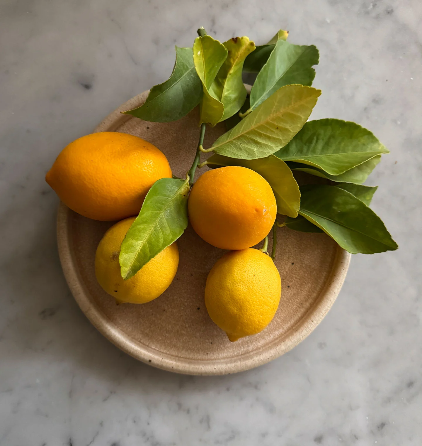 Samos Dinnerware
