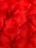Lovehoney Oh! Romantic Red Rose Petals