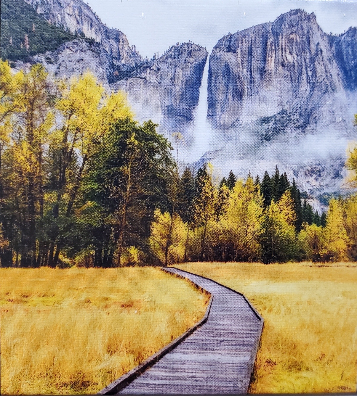Yosemite Path 1000 Piece Puzzle