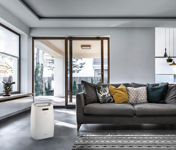 DE LONGHI - Deumidificatore DEXD214RF-Bianco