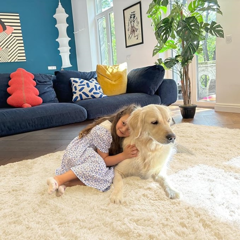 6x9 Machine Washable Large Area Rugs for Living Room, Bedroom