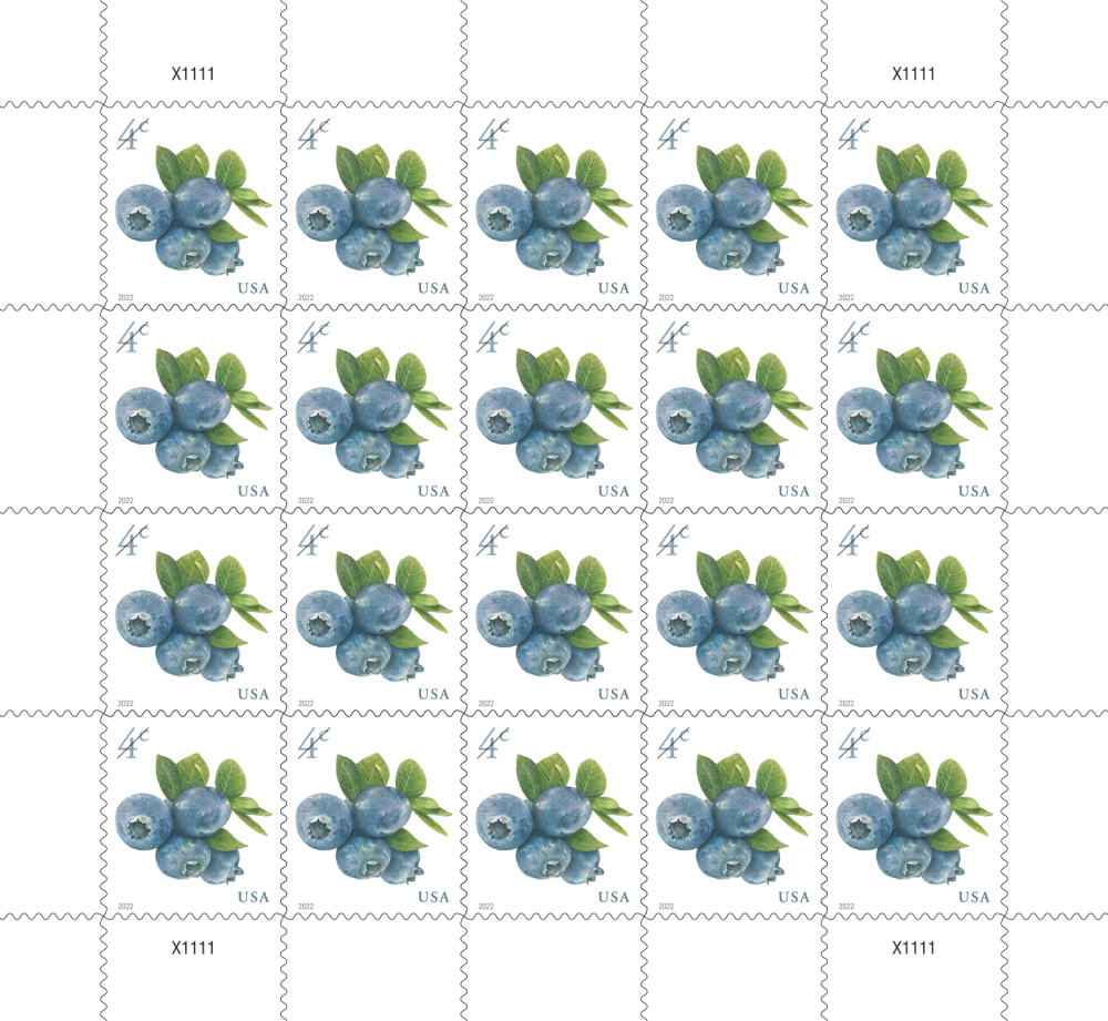 2022 Blueberries