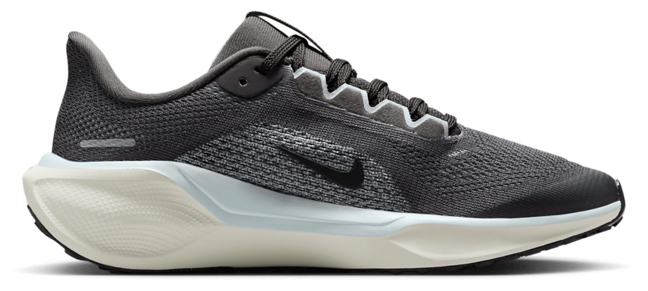 Nike Air Zoom Pegasus 41