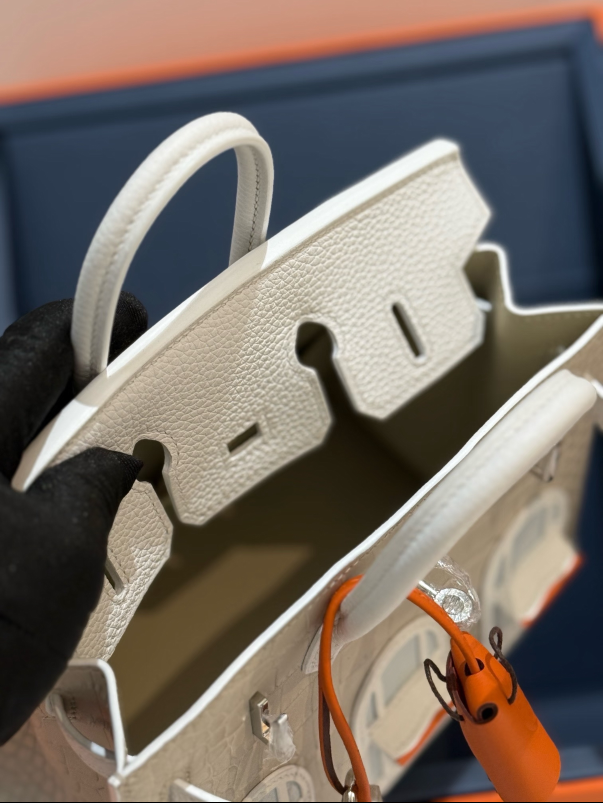 Hermès Birkin 20 Silver Buckle Platinum Bag customization