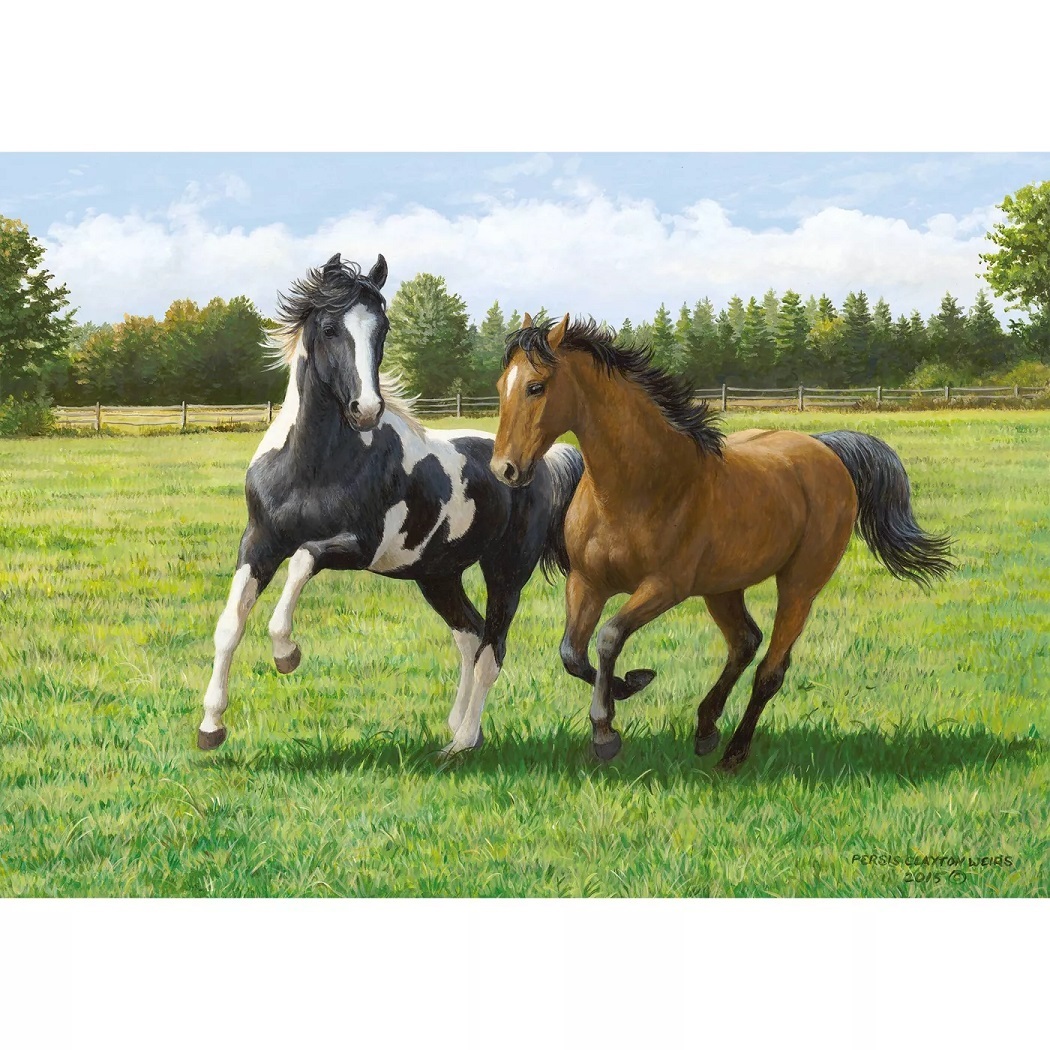 Playful Horses 1000 Piece Puzzle
