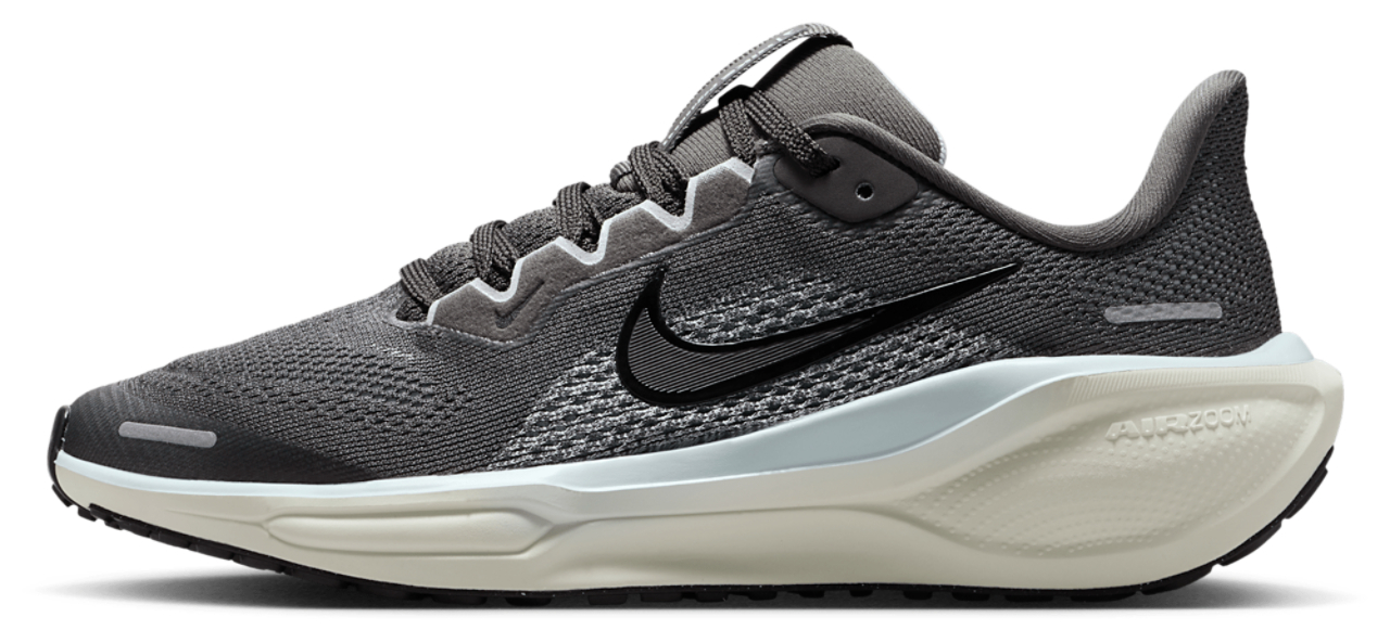 Nike Air Zoom Pegasus 41