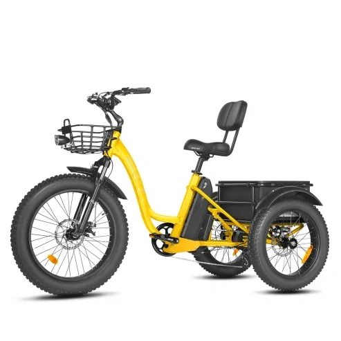 Special offer⚡️[750W] Rear Drive Electric Trike Ver 2026