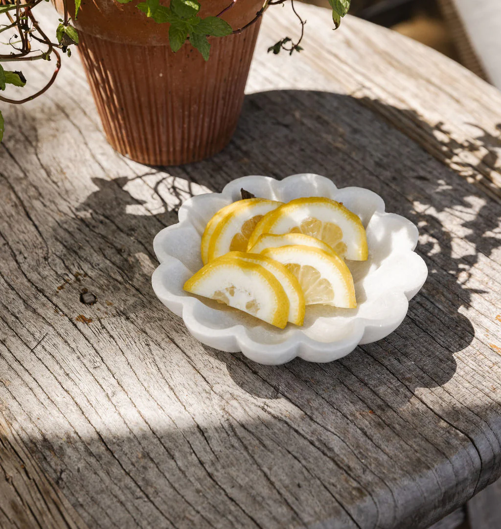 Anthia Dish