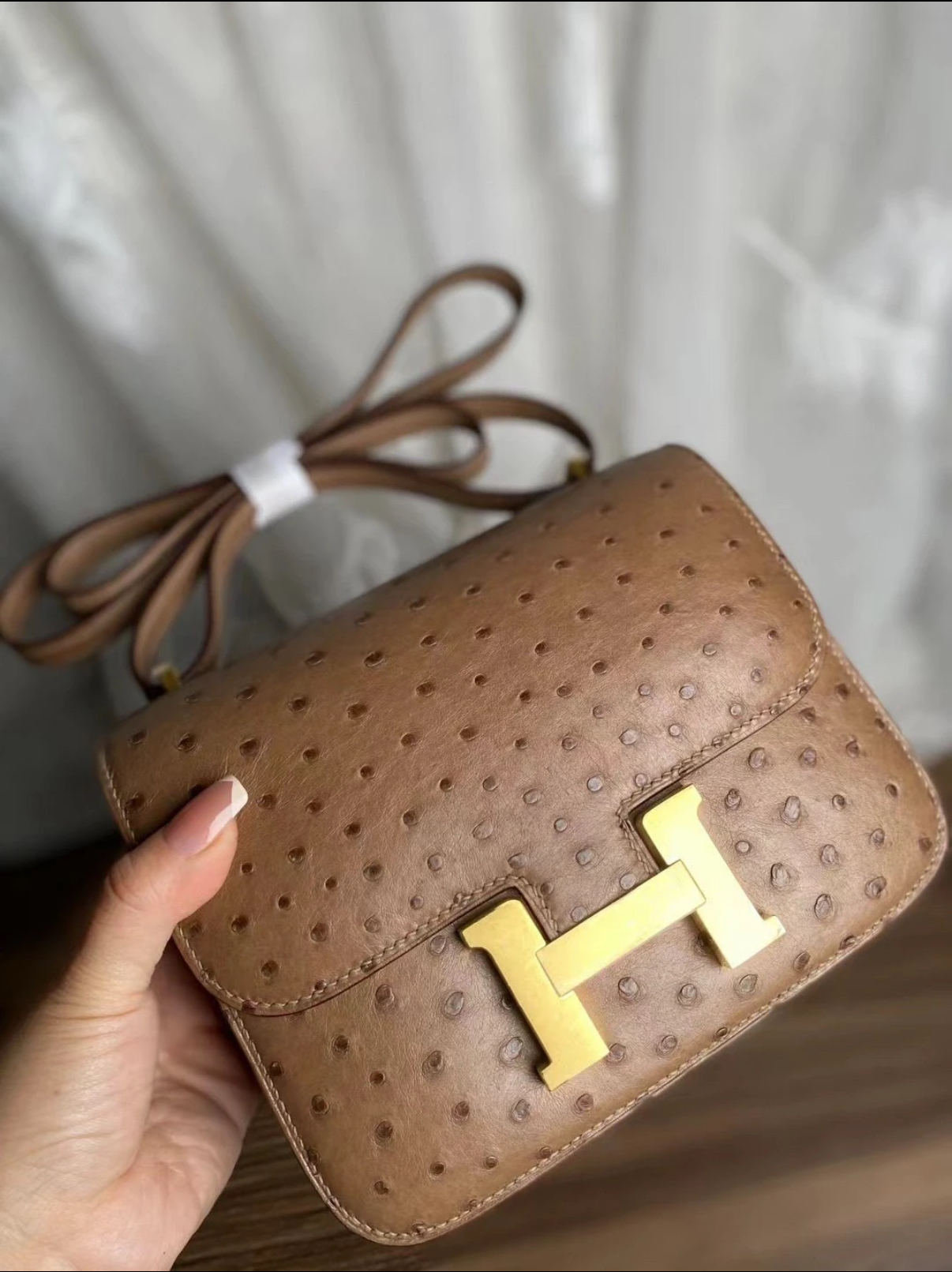 Hermes Handcrafted by masters Constance Mini 19