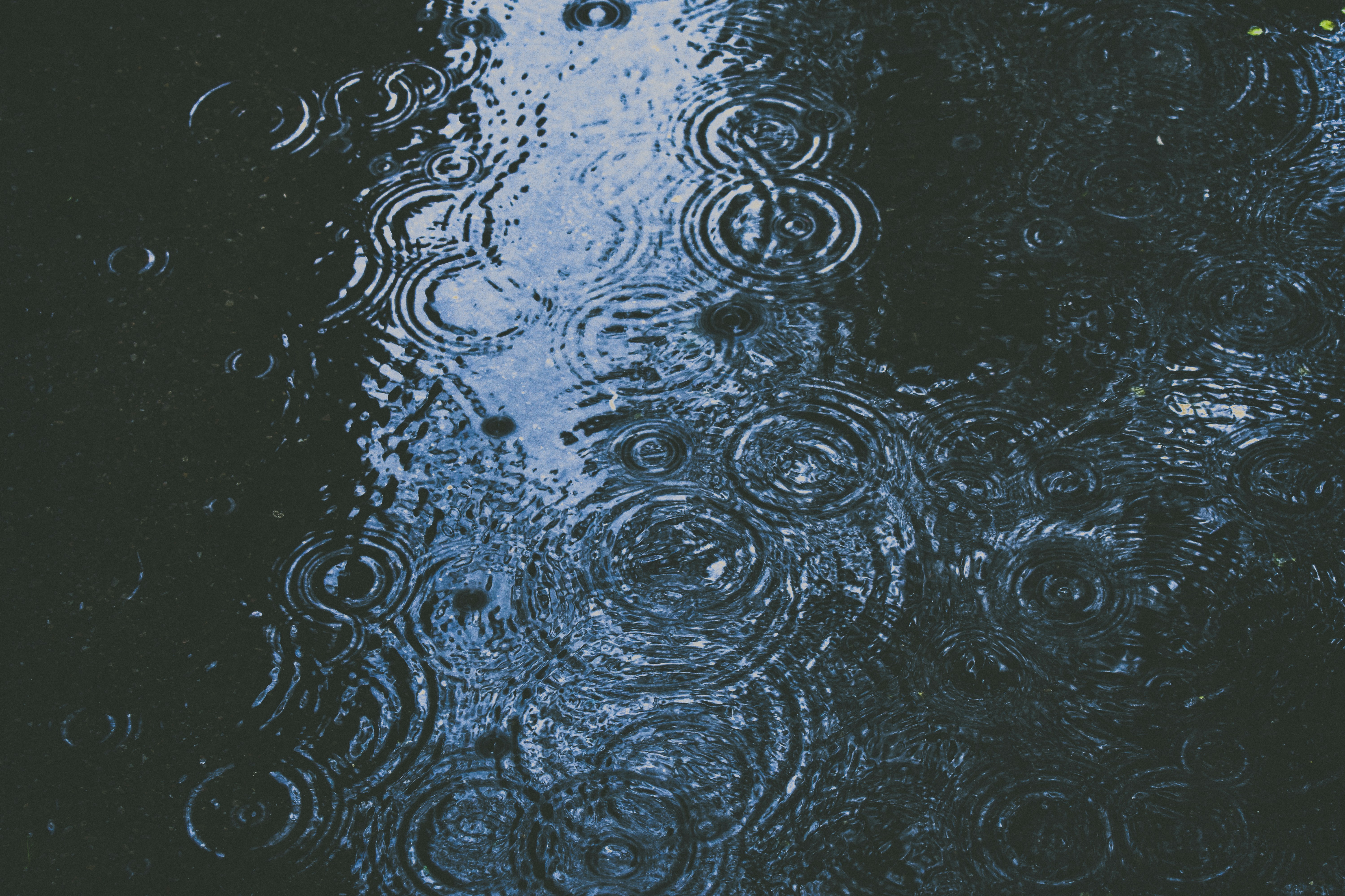 Apology Notice: Shipping Delay