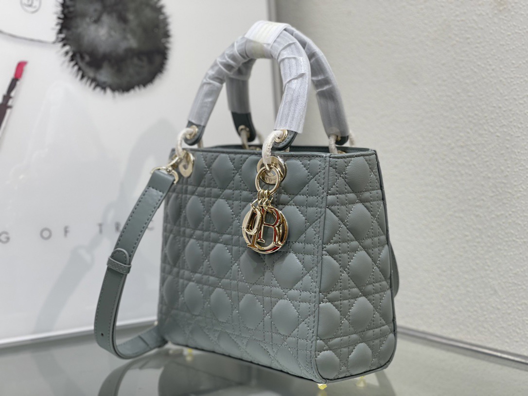 Dior Lady Women Shoulder Bags 24*20*11cm