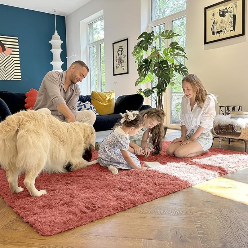 6x9 Machine Washable Large Area Rugs for Living Room, Bedroom