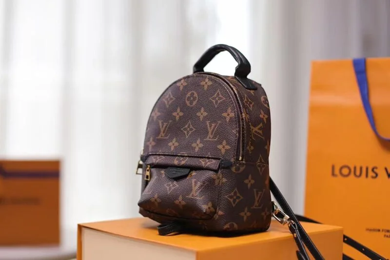 Louis Vuitton M44873 Palm Springs Mini