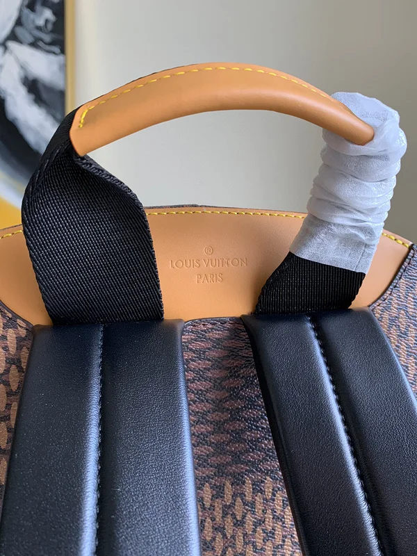 Louis Vuitton Campus Backpack N40380