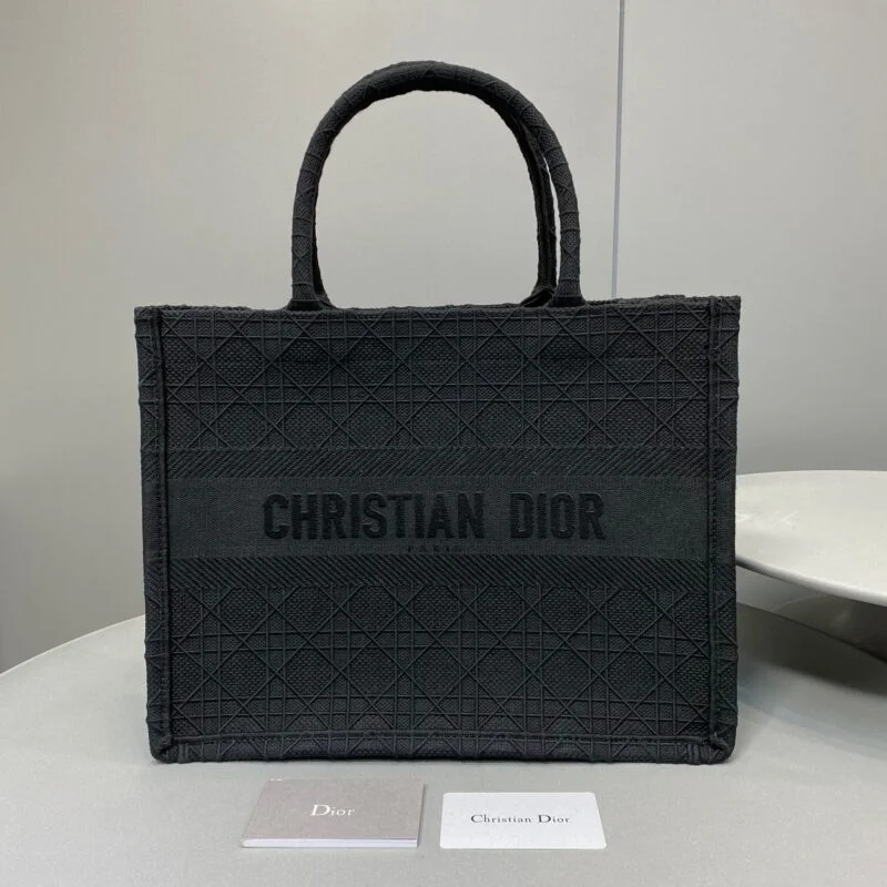 Dior Small Book Tote Multi Colors
