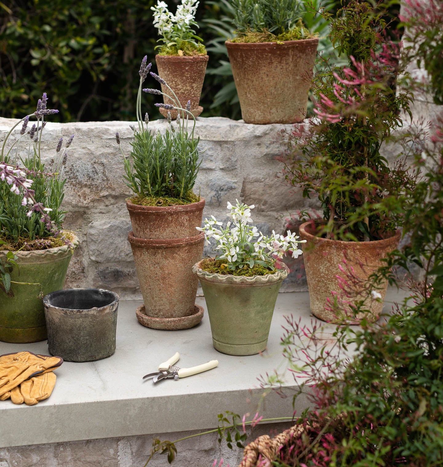 Scalloped Nursery Planter
