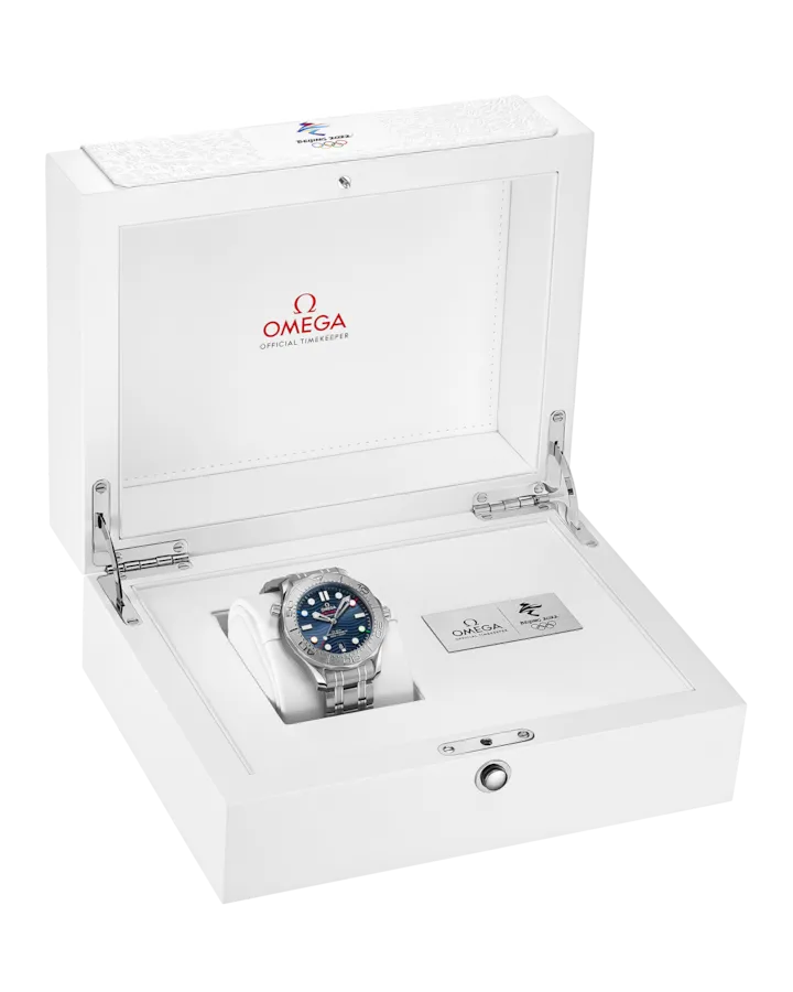 SEAMASTERDIVER 300M42 MM, STEEL ON STEEL