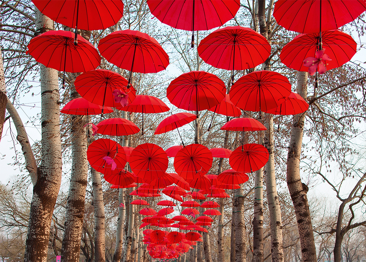 Challenge Series Umbrella 1000 Piece Puzzle