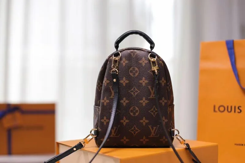 Louis Vuitton M44873 Palm Springs Mini