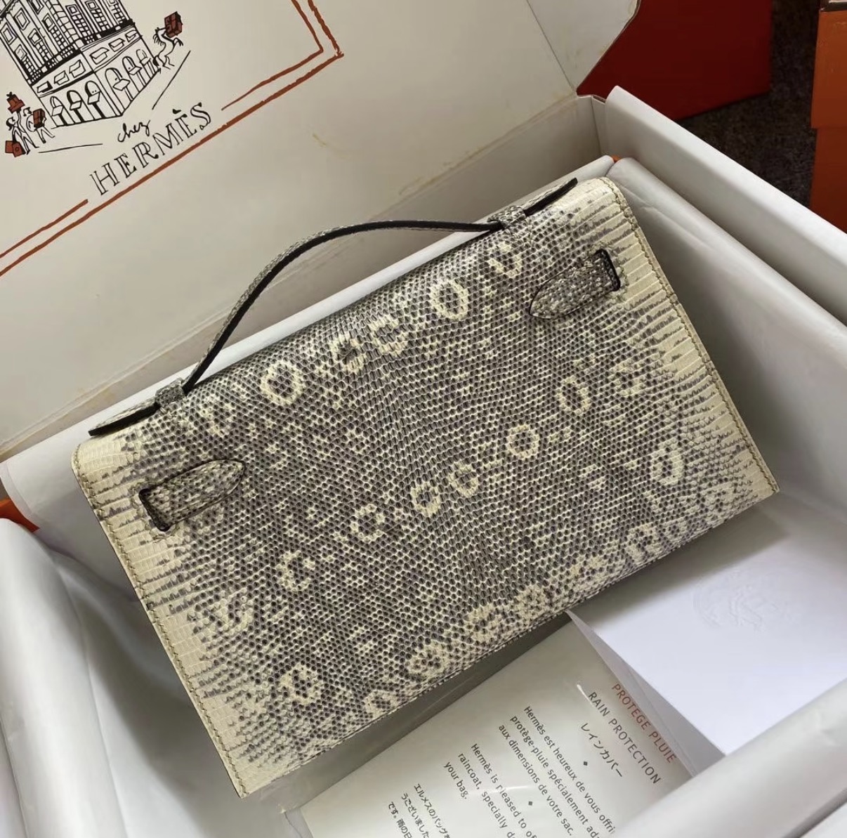 Kelly Pochette Ombre Lizard Leather Silver hardware Custom - Artisantouchss