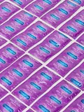 Pasante Ribbed and Dotted Latex Condoms (72 Pack)