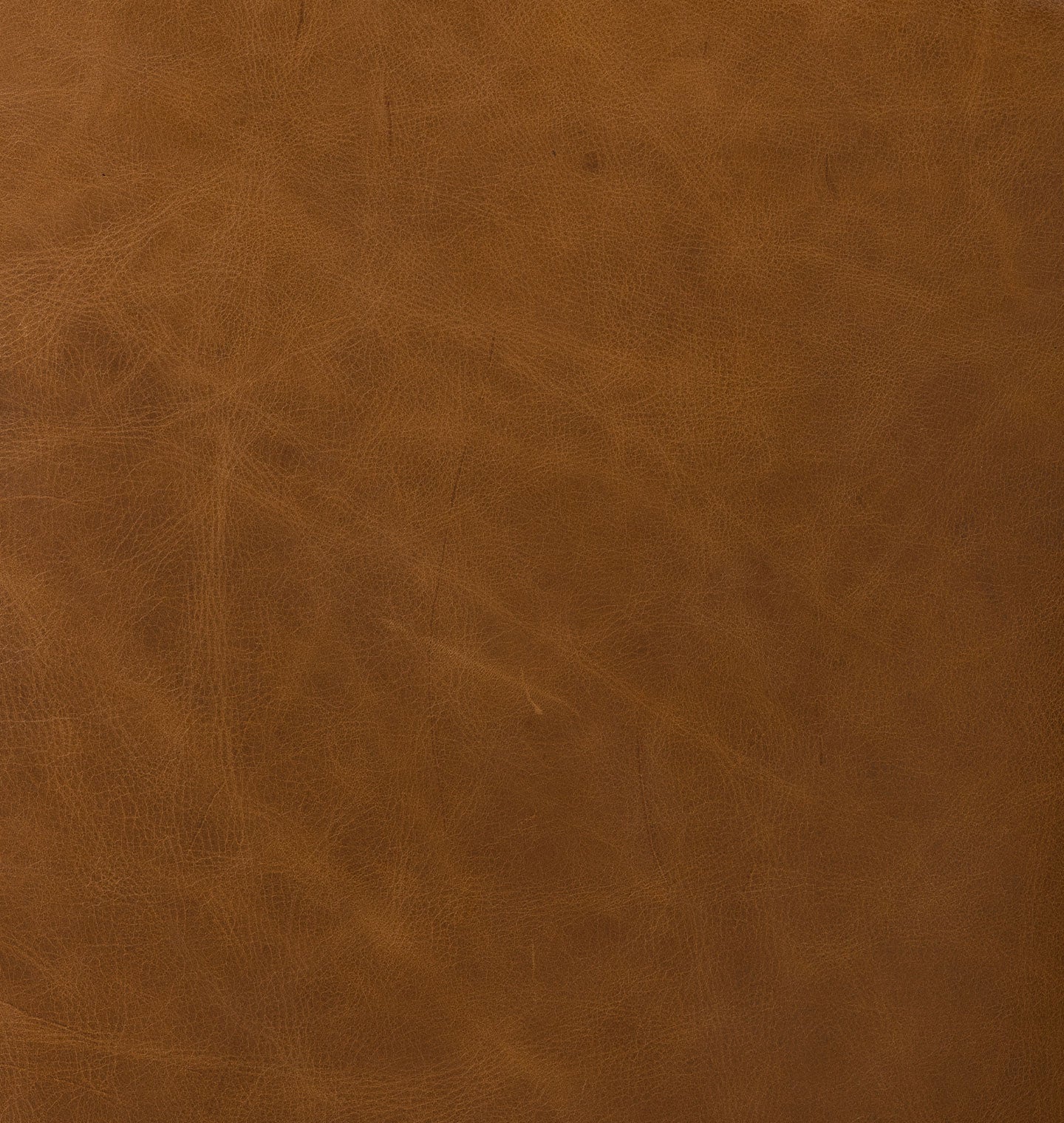 Melvin Petite Leather Lounge Chair