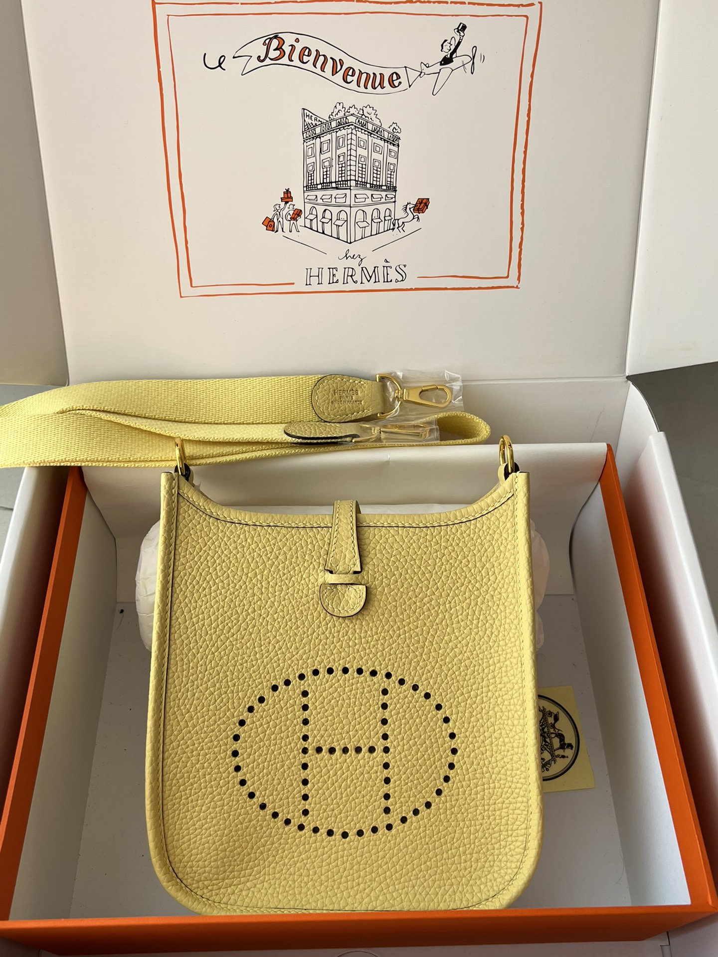 Hermes Evelyn 𝖬𝗂𝗇𝗂 17 Gold Hardware-Top master