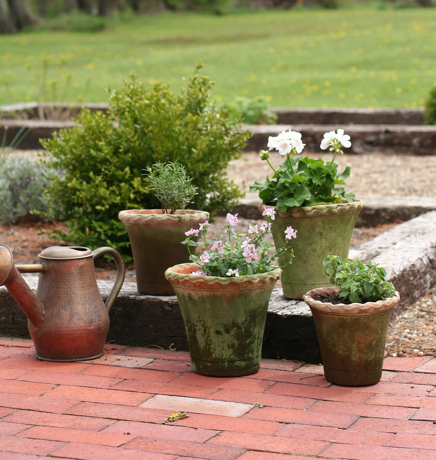 Scalloped Nursery Planter