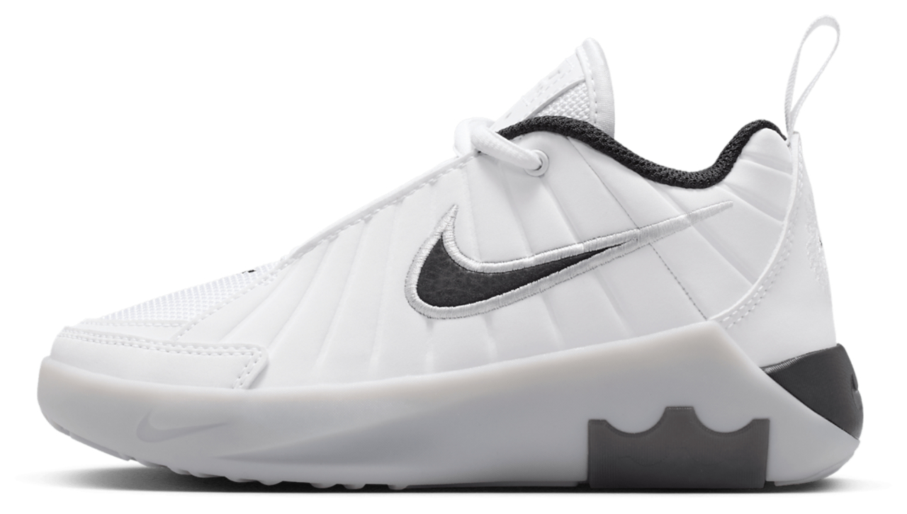 Nike Lebron Witness IX