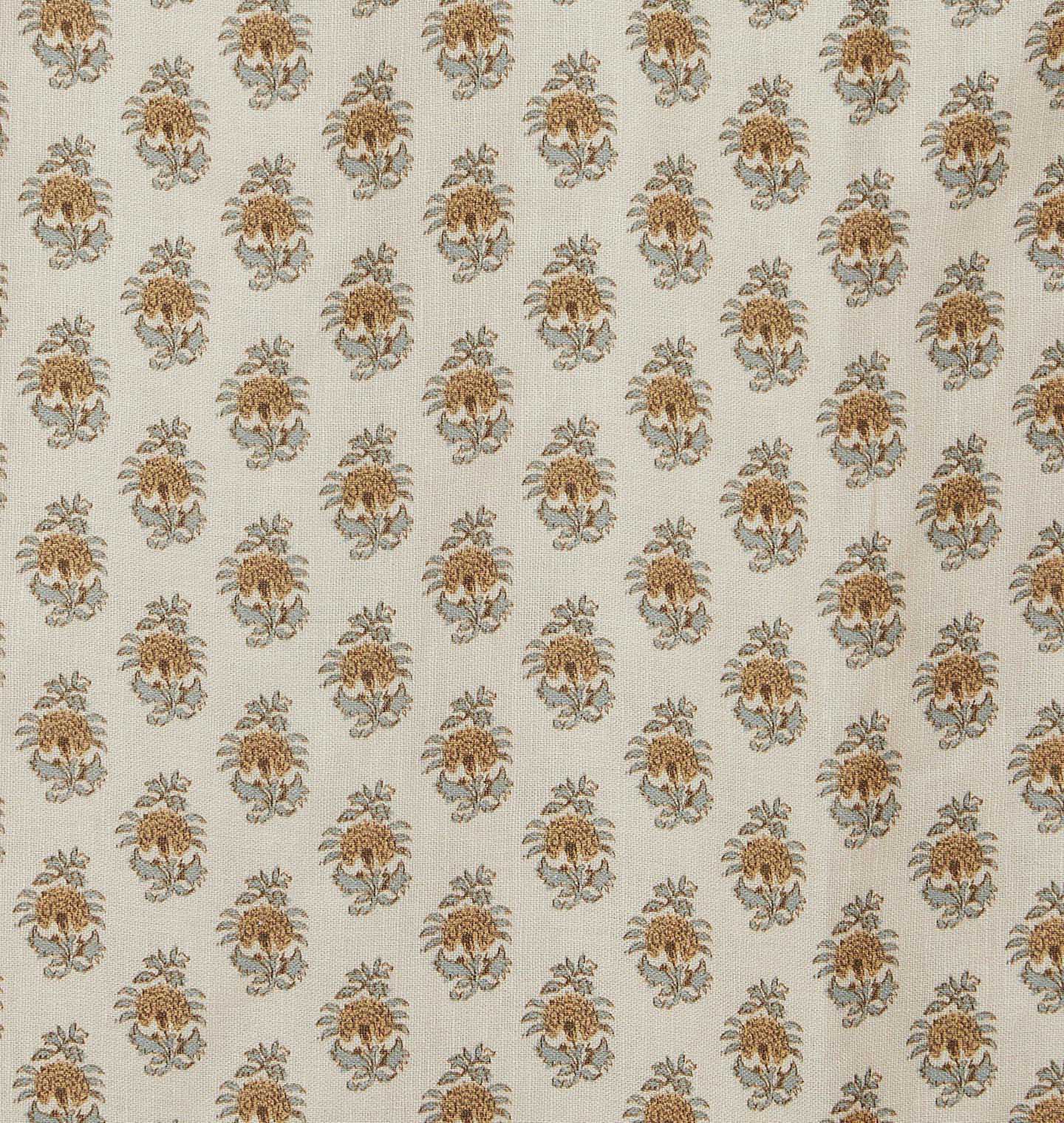 Paisley Shower Curtain