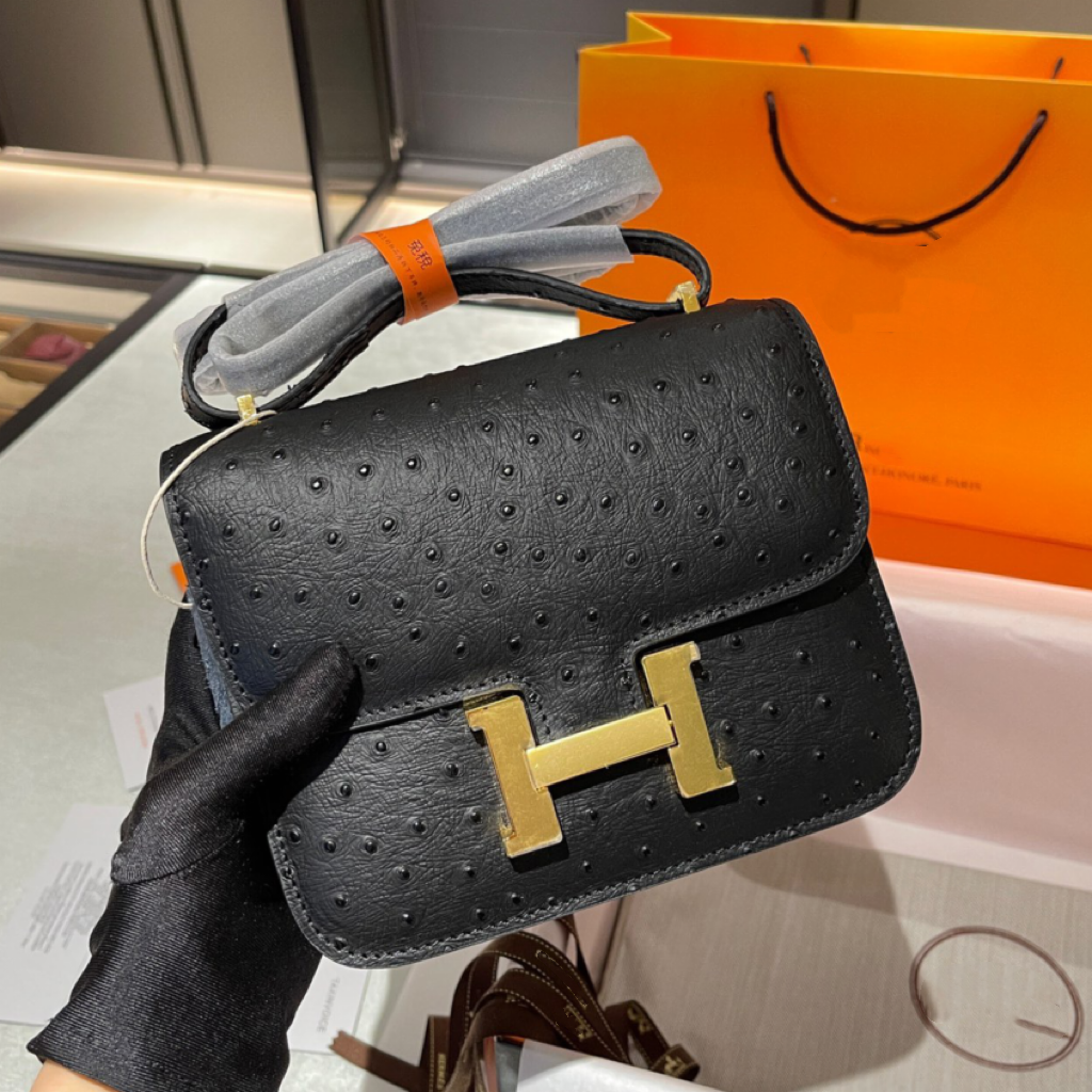 Hermes Constance Mini 19