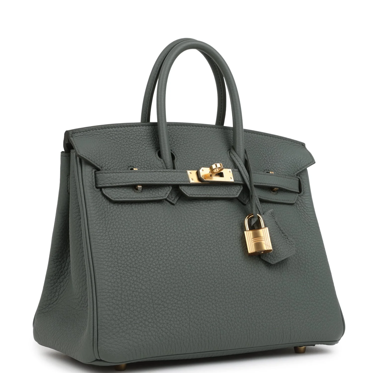 Hermes Birkin 25 Vert Amande Togo Gold Hardware