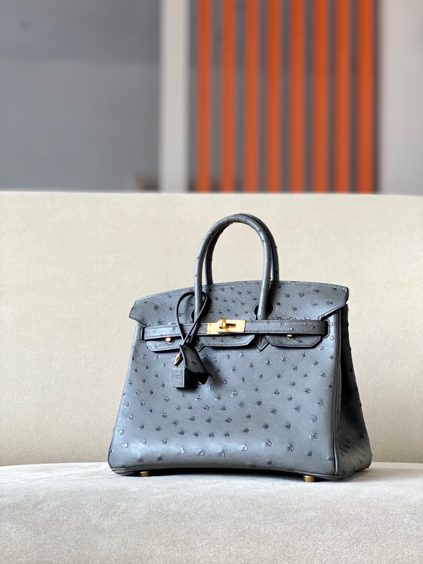Advanced customization Birkin 25-30 Ostrich skin