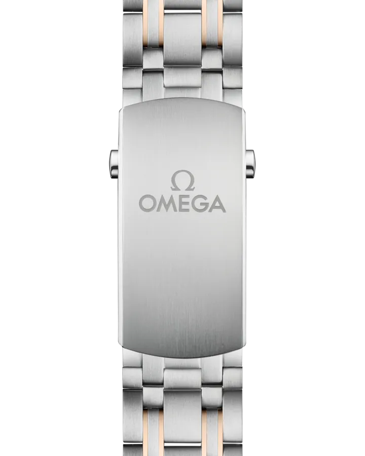 SEAMASTERDIVER 300M42 MM STEEL ? SEDNA GOLD ON STEEL ? SEDNA GOLD