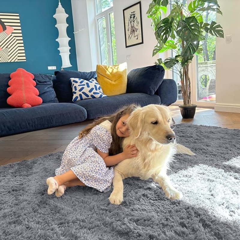 6x9 Machine Washable Large Area Rugs for Living Room, Bedroom