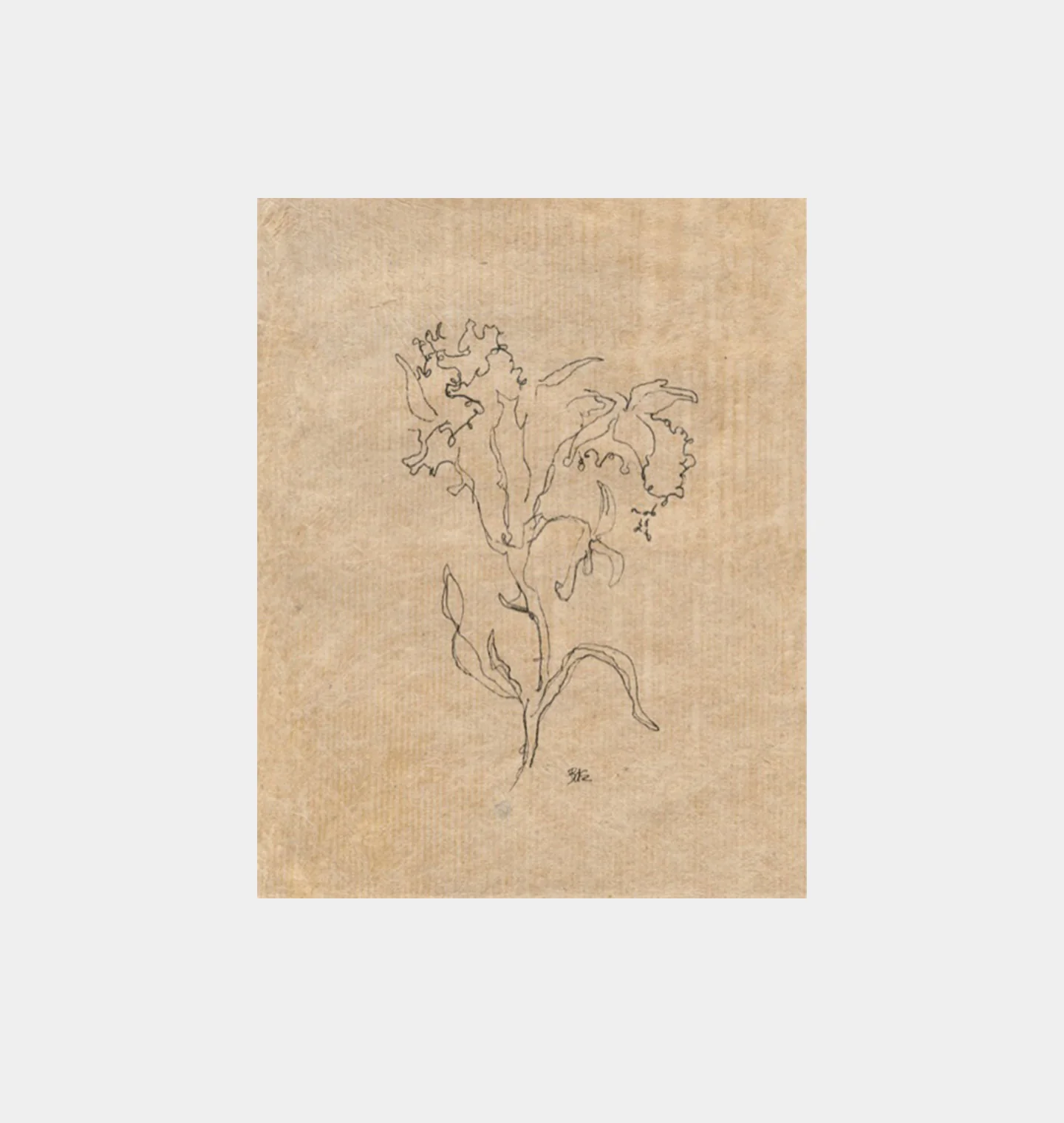 Large Contour Flower