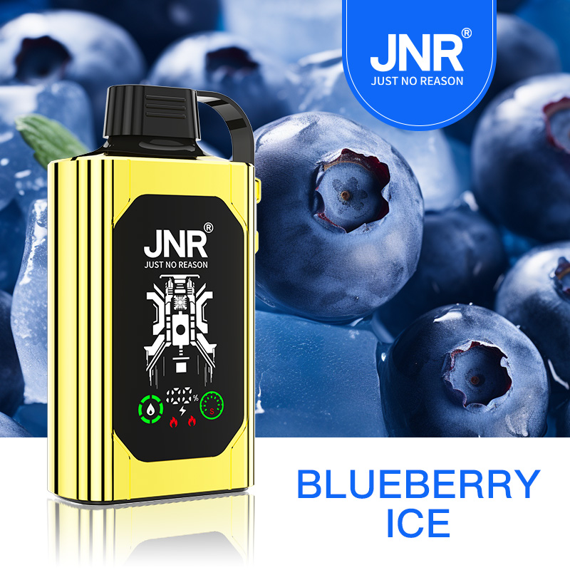 JNR Shisha Hookah Box 30K Disposable Vape-Blueberry Ice